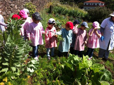 Alunos do pré-escolar na colheita dos produtos cultivados.